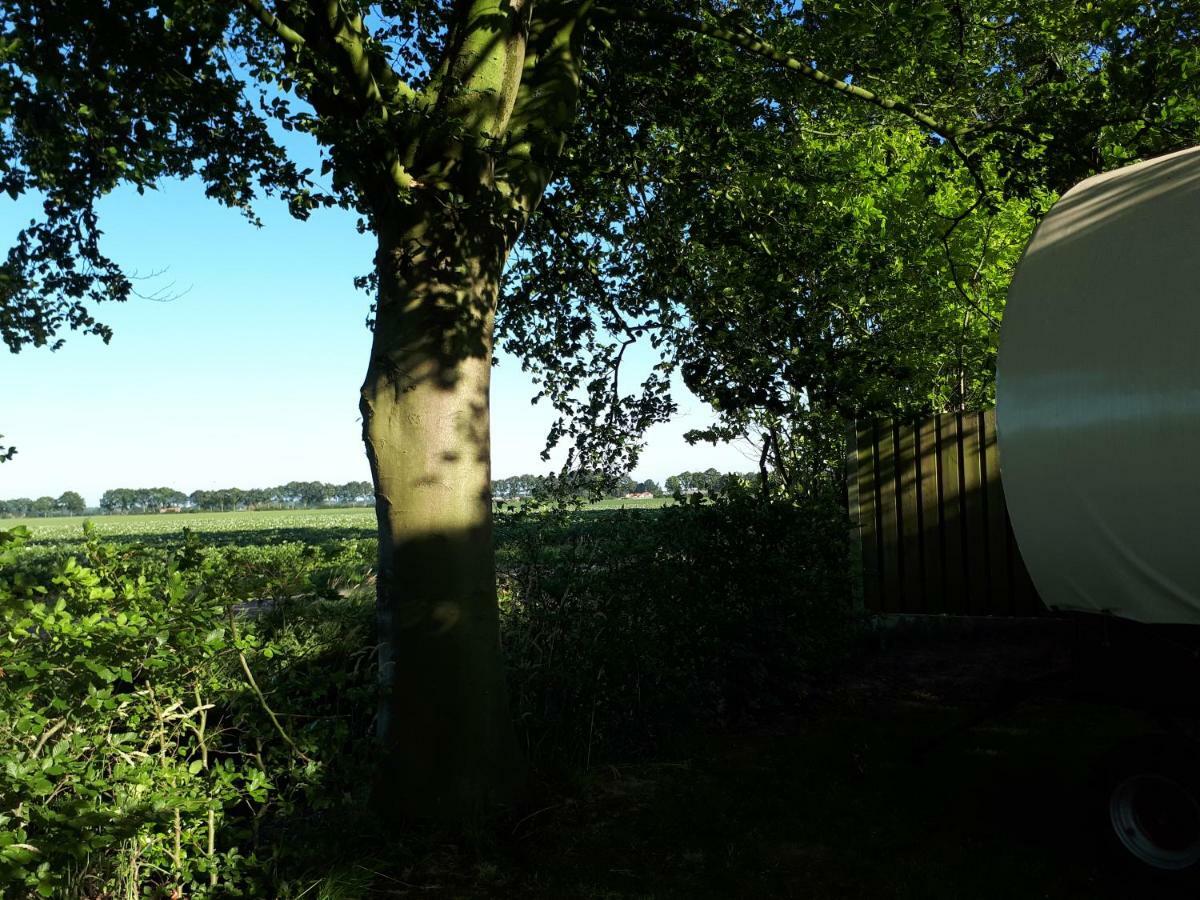 Irish Bowtop Op Het Platteland Van Huize Ouwervelden Wouwsche Plantage Zewnętrze zdjęcie